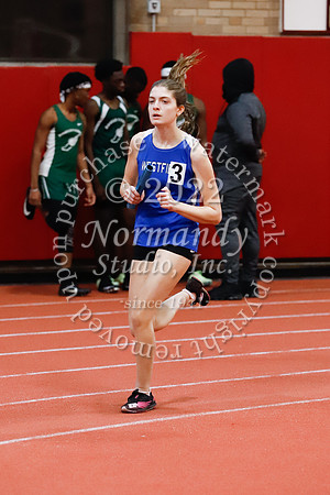 WHS_59_wt-g