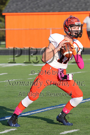 SVL_fb-j_066