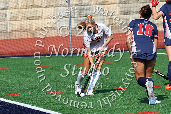 SVL_fh_35