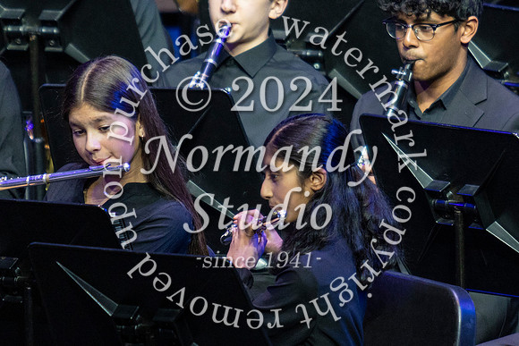 WTG_concert_36