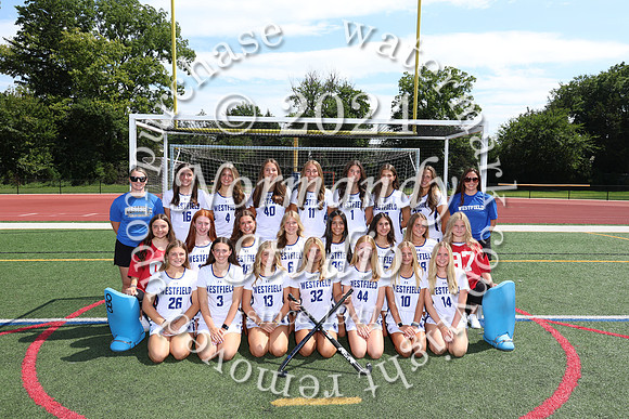 WHS_fh-v-t_395