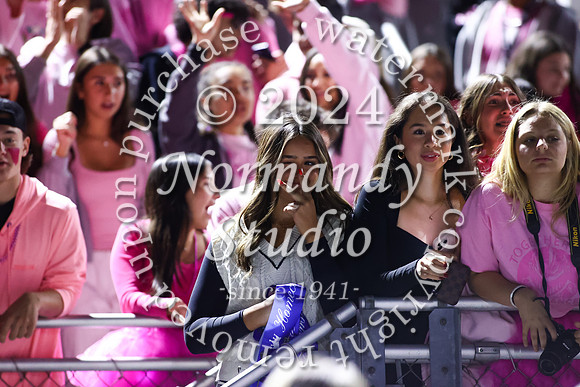 SPF_fans_58