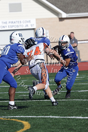 SHP_61_fb-f