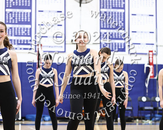 WHS_dt_011