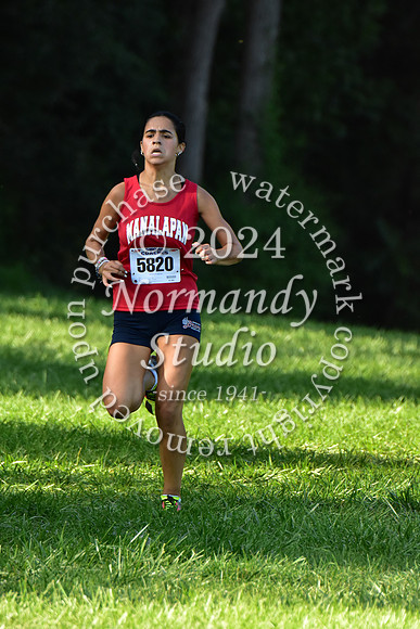 MNP_cc-g_13