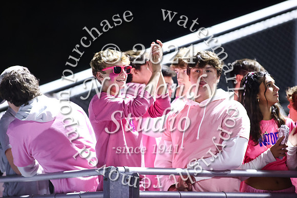 SPF_fans_37
