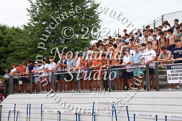 SHP_fb-fans_46