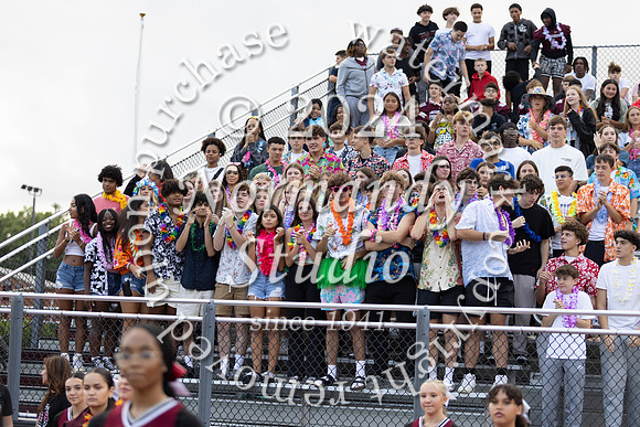 MAT_fans_11