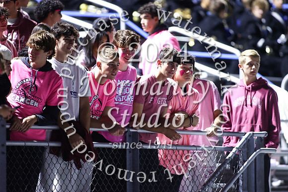 SPF_fans_42
