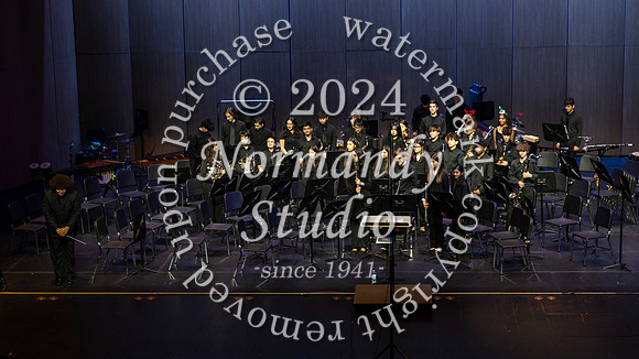 WTG_concert_12
