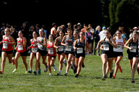 SVL_cc_g_002