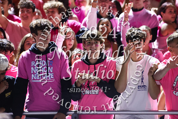 SPF_fans_64