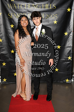 WTG_sr_prom_042