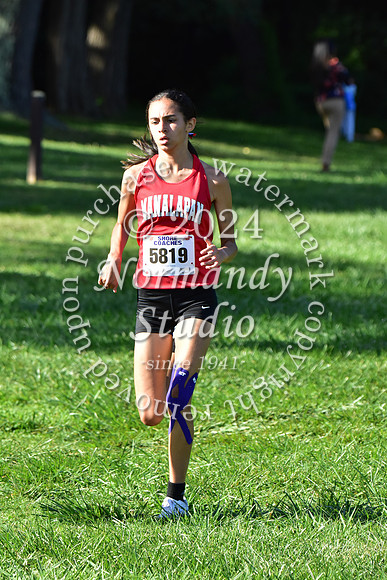 MNP_cc-g+b-j_29