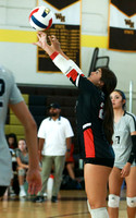 HCH_vb-g_20