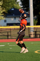SVL_fb_03