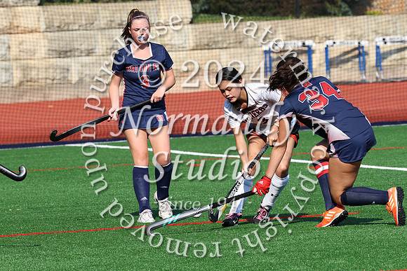 SVL_fh_32