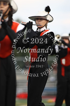 SVL_mb_20