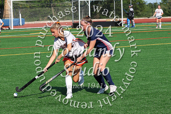 SVL_fh_21