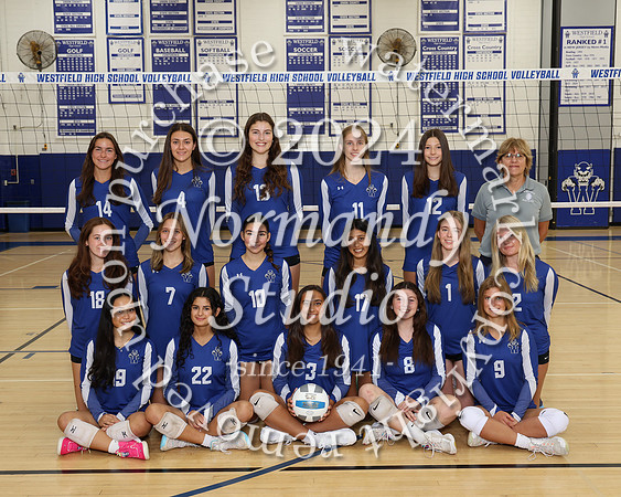 WHS_vb-g-v-t_009