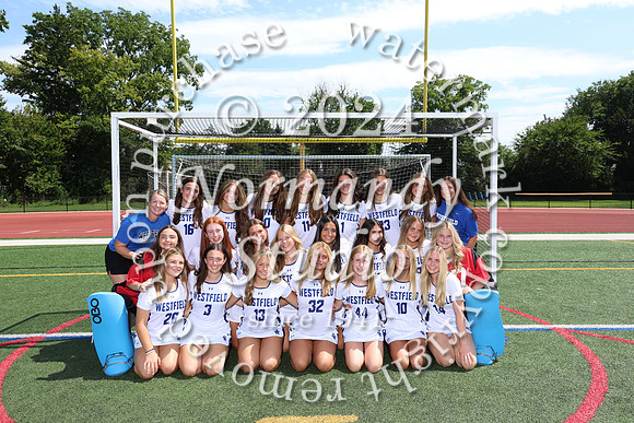 WHS_fh-v-t_401