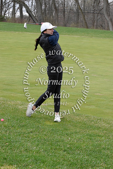 CHS_go-g_52