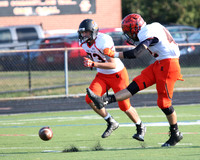 SVL_fb-j_001