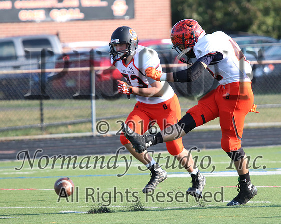 SVL_fb-j_001