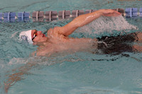WHS_sw-b_19