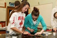 CHS_018_slc