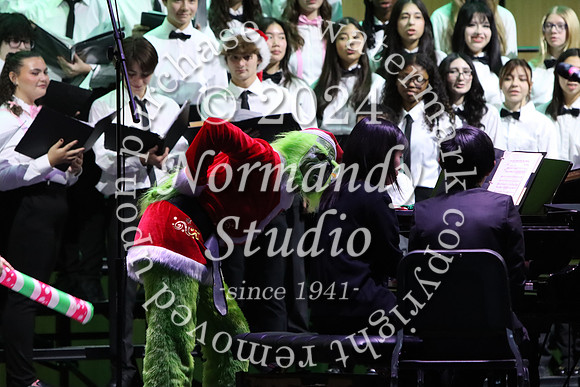 WTG_concert_48