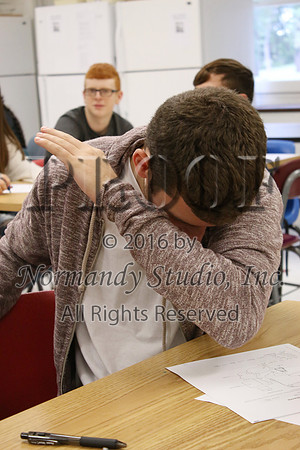 MNP_015_slc