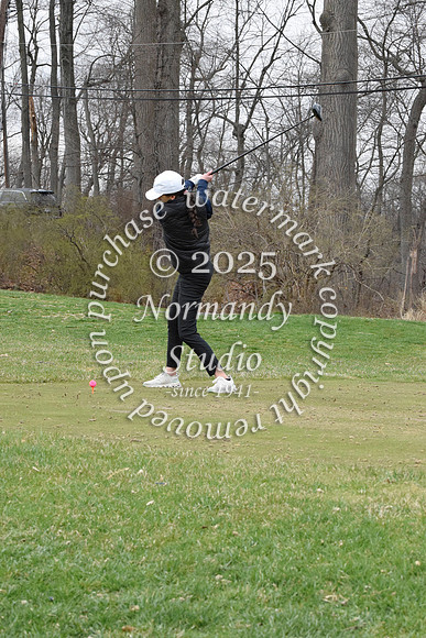 CHS_go-g_29