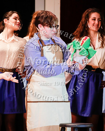 BER_54_little shop of horrors