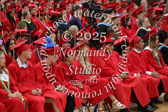 LIB_candids_55