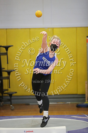 WHS_03_wt-g
