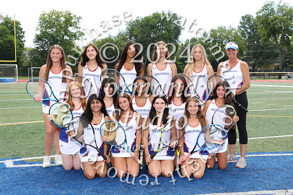 WHS_tn-g-v-t_308