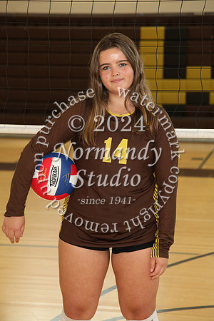 WTG_vb-g-j-ind_17