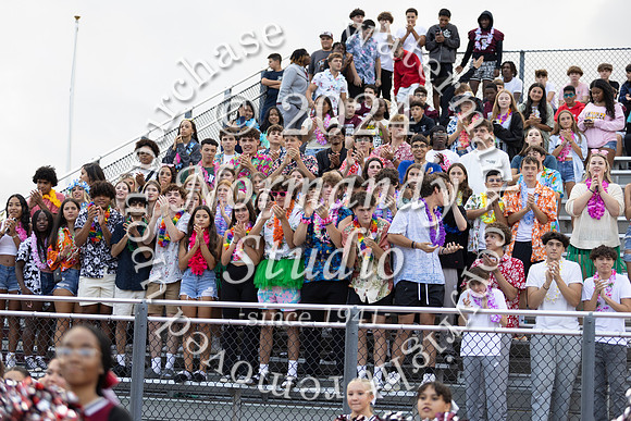 MAT_fans_08