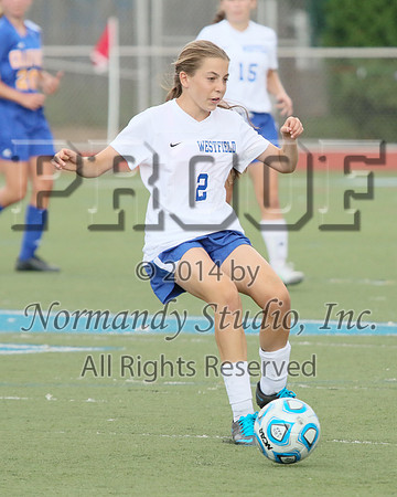 WHS_025_so-g