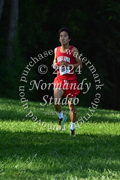 MNP_cc-g+b-j_13