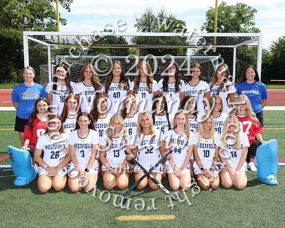 WHS_fh-v-t_397
