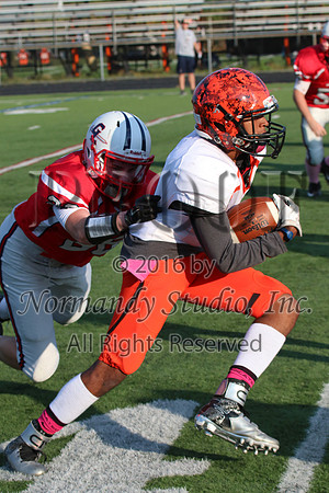 SVL_fb-j_060