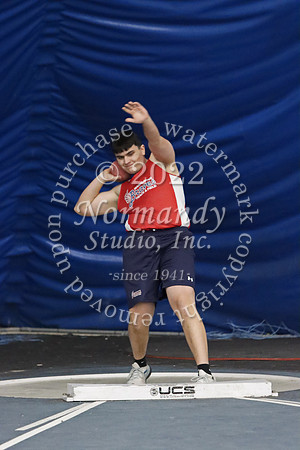 MNP_008_wt-b