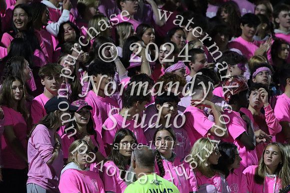 WMC_fans_22