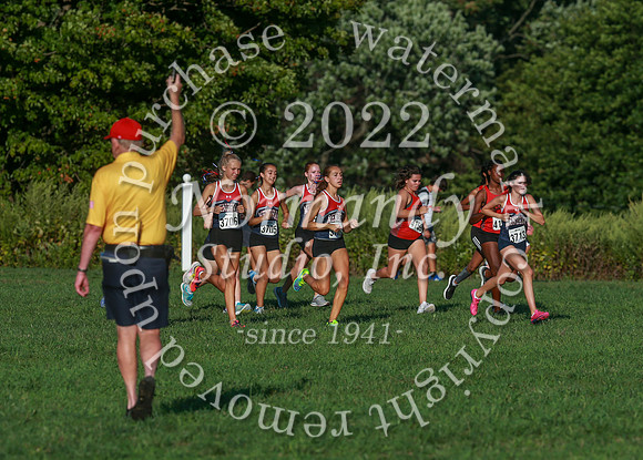 WMM_cc-g_20