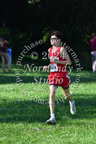 MNP_cc-g+b-j_19