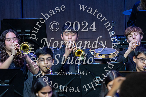 WTG_concert_18