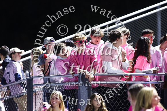 SPF_fans_22