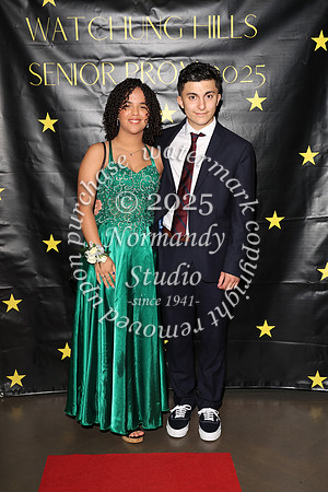 WTG_sr_prom_040